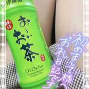 ヒメ日記 2025/04/01 15:43 投稿 乃々華(ののか) 高知デリヘル倶楽部 人妻熟女専門店