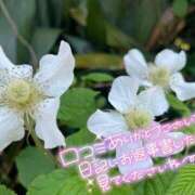 ヒメ日記 2025/04/09 20:41 投稿 乃々華(ののか) 高知デリヘル倶楽部 人妻熟女専門店