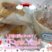 ヒメ日記 2025/04/14 15:59 投稿 乃々華(ののか) 高知デリヘル倶楽部 人妻熟女専門店