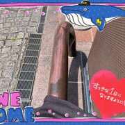 ヒメ日記 2025/04/16 11:34 投稿 乃々華(ののか) 高知デリヘル倶楽部 人妻熟女専門店