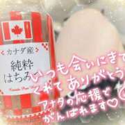 ヒメ日記 2025/04/21 16:48 投稿 乃々華(ののか) 高知デリヘル倶楽部 人妻熟女専門店