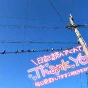 ヒメ日記 2025/05/04 13:08 投稿 乃々華(ののか) 高知デリヘル倶楽部 人妻熟女専門店