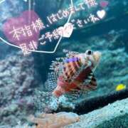 ヒメ日記 2025/05/13 21:27 投稿 乃々華(ののか) 高知デリヘル倶楽部 人妻熟女専門店