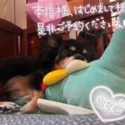 ヒメ日記 2025/05/26 07:28 投稿 乃々華(ののか) 高知デリヘル倶楽部 人妻熟女専門店