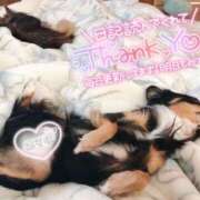 ヒメ日記 2025/05/28 07:26 投稿 乃々華(ののか) 高知デリヘル倶楽部 人妻熟女専門店