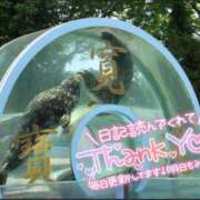 ヒメ日記 2025/05/29 10:49 投稿 乃々華(ののか) 高知デリヘル倶楽部 人妻熟女専門店