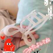 ヒメ日記 2025/06/07 07:28 投稿 乃々華(ののか) 高知デリヘル倶楽部 人妻熟女専門店