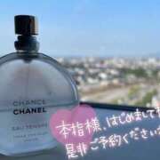 ヒメ日記 2025/06/09 08:11 投稿 乃々華(ののか) 高知デリヘル倶楽部 人妻熟女専門店