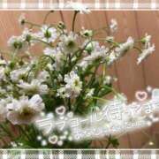 ヒメ日記 2025/06/22 22:08 投稿 乃々華(ののか) 高知デリヘル倶楽部 人妻熟女専門店