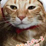 ヒメ日記 2025/06/27 23:01 投稿 乃々華(ののか) 高知デリヘル倶楽部 人妻熟女専門店