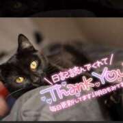 ヒメ日記 2025/08/05 07:40 投稿 乃々華(ののか) 高知デリヘル倶楽部 人妻熟女専門店