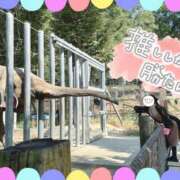 ヒメ日記 2025/10/15 14:20 投稿 乃々華(ののか) 高知デリヘル倶楽部 人妻熟女専門店