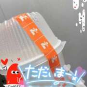 ヒメ日記 2025/12/08 23:10 投稿 乃々華(ののか) 高知デリヘル倶楽部 人妻熟女専門店