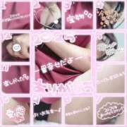 ヒメ日記 2025/12/29 08:40 投稿 乃々華(ののか) 高知デリヘル倶楽部 人妻熟女専門店