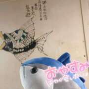 ヒメ日記 2026/02/13 11:11 投稿 乃々華(ののか) 高知デリヘル倶楽部 人妻熟女専門店