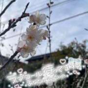 ヒメ日記 2026/03/13 22:58 投稿 乃々華(ののか) 高知デリヘル倶楽部 人妻熟女専門店