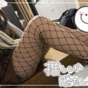 ヒメ日記 2026/04/05 08:00 投稿 乃々華(ののか) 高知デリヘル倶楽部 人妻熟女専門店