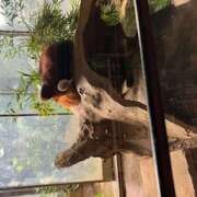 ヒメ日記 2025/08/31 13:31 投稿 武井 熟女待機所 厚木店