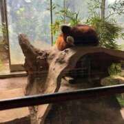 ヒメ日記 2025/10/05 12:46 投稿 武井 熟女待機所 厚木店