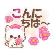 ヒメ日記 2025/10/09 12:46 投稿 武井 熟女待機所 厚木店