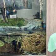 ヒメ日記 2026/08/03 08:06 投稿 武井 熟女待機所 厚木店