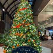 ヒメ日記 2024/12/18 16:00 投稿 れいか 多恋人 新宿店