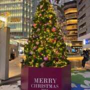 ヒメ日記 2024/12/22 16:01 投稿 れいか 多恋人 新宿店