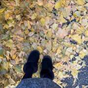 ヒメ日記 2024/12/23 16:00 投稿 れいか 多恋人 新宿店