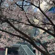 ヒメ日記 2025/03/26 18:02 投稿 れいか 多恋人 新宿店