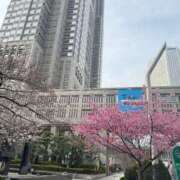 ヒメ日記 2025/04/13 21:04 投稿 れいか 多恋人 新宿店