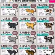 ヒメ日記 2025/08/09 11:58 投稿 れいか 多恋人 新宿店