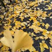 ヒメ日記 2025/12/19 19:07 投稿 れいか 多恋人 新宿店