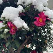 ヒメ日記 2026/02/19 18:12 投稿 れいか 多恋人 新宿店