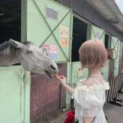 ヒメ日記 2025/05/03 08:02 投稿 ゆかり 東京アロマスタイル