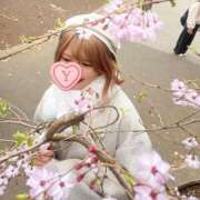 ヒメ日記 2025/05/04 08:01 投稿 ゆかり 東京アロマスタイル