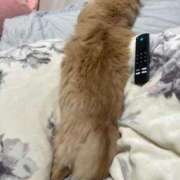 ヒメ日記 2025/05/07 16:05 投稿 ゆかり 東京アロマスタイル