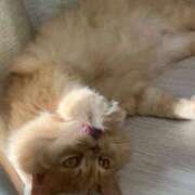 ヒメ日記 2025/08/05 15:08 投稿 ゆかり 東京アロマスタイル