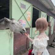 ヒメ日記 2025/08/17 23:58 投稿 ゆかり 東京アロマスタイル
