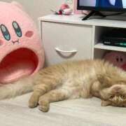 ヒメ日記 2025/09/13 14:58 投稿 ゆかり 東京アロマスタイル