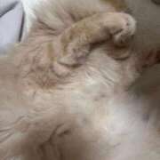 ヒメ日記 2025/11/18 23:58 投稿 ゆかり 東京アロマスタイル