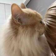 ヒメ日記 2025/11/25 09:58 投稿 ゆかり 東京アロマスタイル