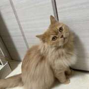 ヒメ日記 2026/03/20 12:08 投稿 ゆかり 東京アロマスタイル