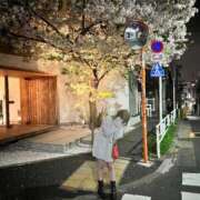 ヒメ日記 2026/03/31 11:28 投稿 ゆかり 東京アロマスタイル