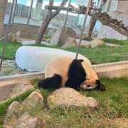 ヒメ日記 2025/03/22 12:13 投稿 小田切　るか エテルナ京都