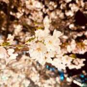 ヒメ日記 2025/04/06 13:01 投稿 小田切　るか エテルナ京都