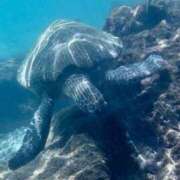 ヒメ日記 2025/09/14 14:03 投稿 小田切　るか エテルナ京都