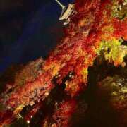 ヒメ日記 2025/11/28 13:06 投稿 小田切　るか エテルナ京都