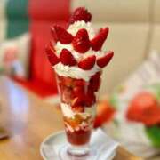 ヒメ日記 2026/03/20 12:13 投稿 小田切　るか エテルナ京都