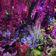 ヒメ日記 2025/01/31 12:18 投稿 ゆきさん いけない奥さん 十三店