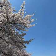 ヒメ日記 2025/04/05 10:09 投稿 ゆきさん いけない奥さん 梅田店